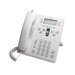 CP-6945-W-K9=
