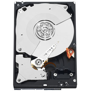 WD1002F9YZ