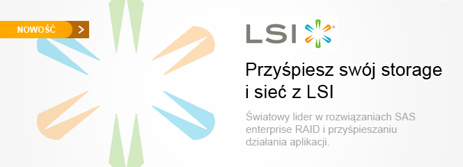 LSI OEM